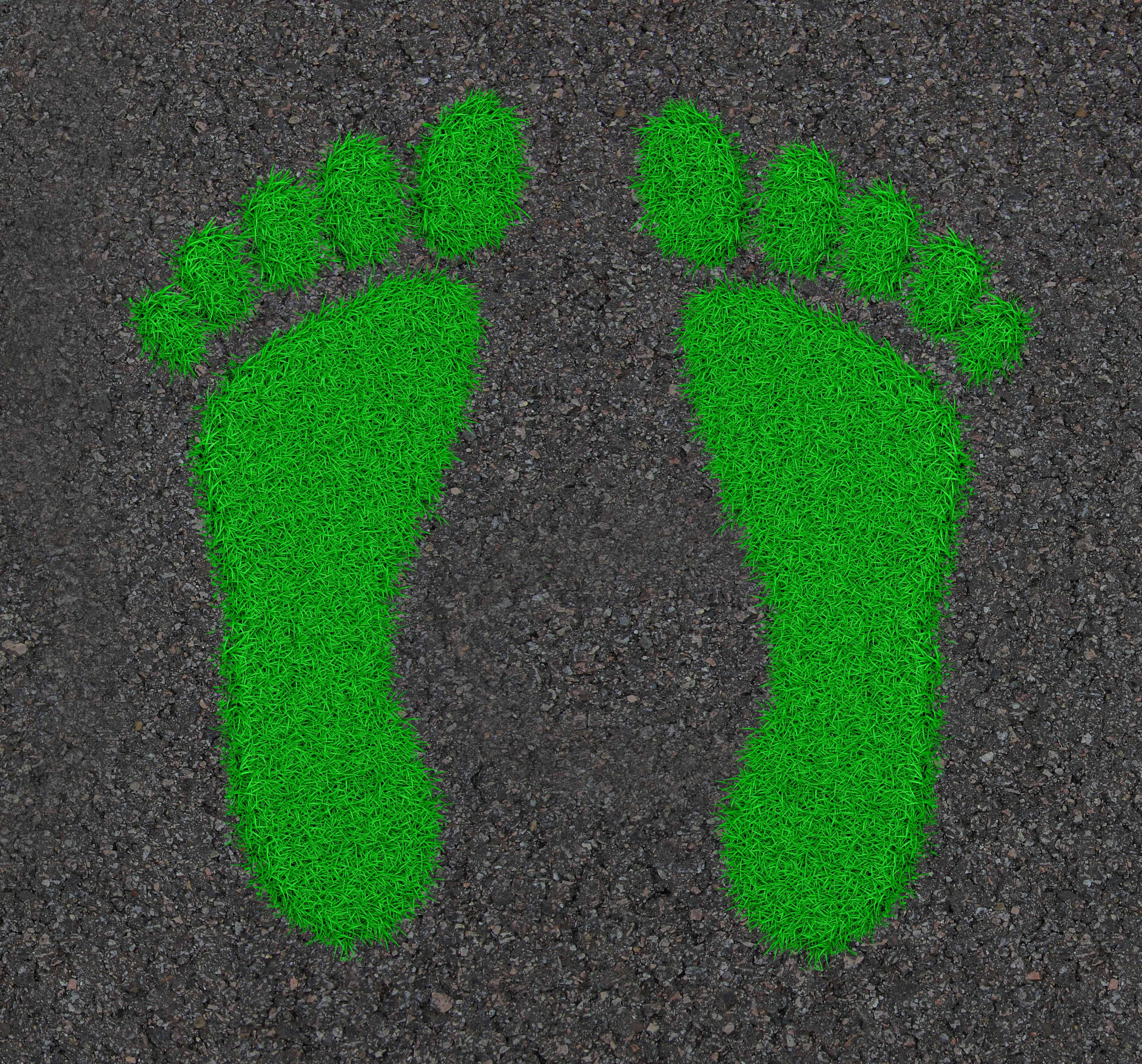 Image of a green footprint to represent a carbon footprint.