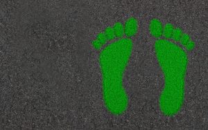 Image of a green footprint to represent a carbon footprint.