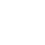 Hayman Group Logo