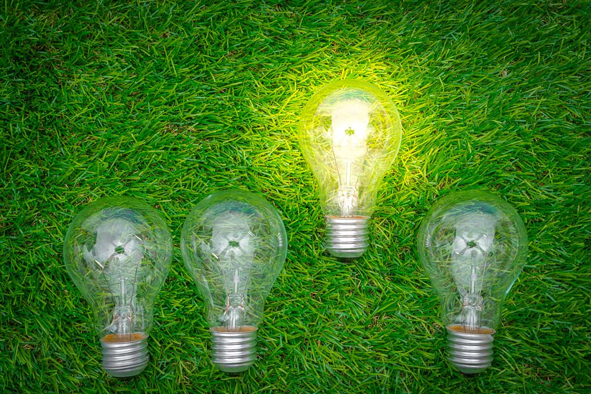 Green grass and lightbulb, why green is good for business